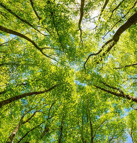 Illustration ECOGAM solutions écoresponsables 1